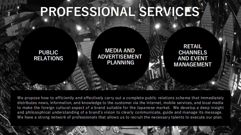 PROFESSIONAL SERVICES