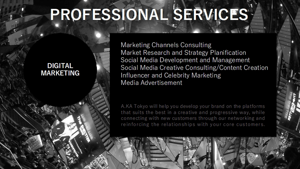 PROFESSIONAL SERVICES