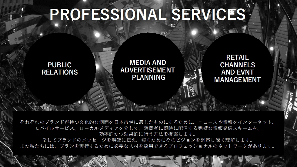 PROFESSIONAL SERVICES