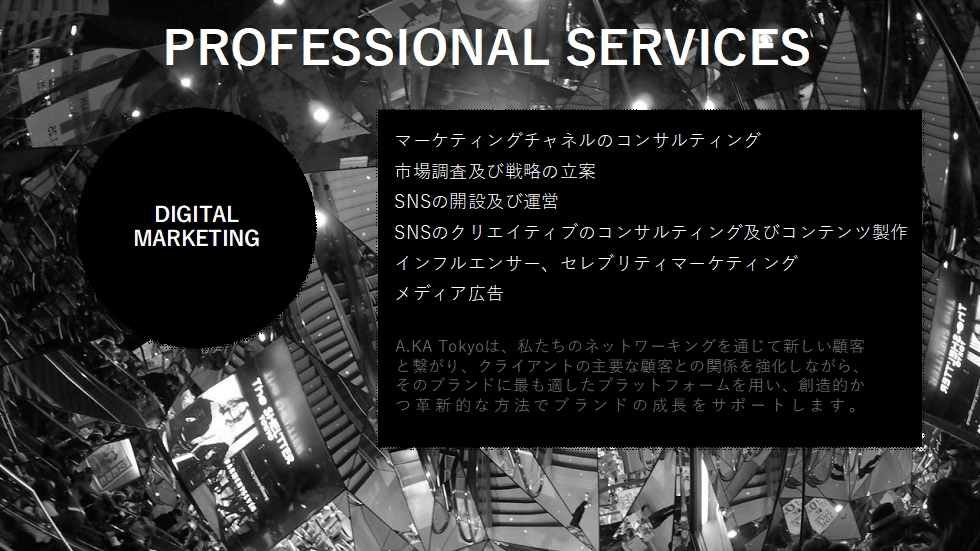 PROFESSIONAL SERVICES