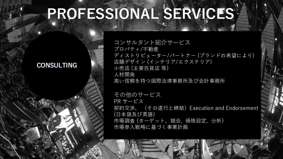 PROFESSIONAL SERVICES